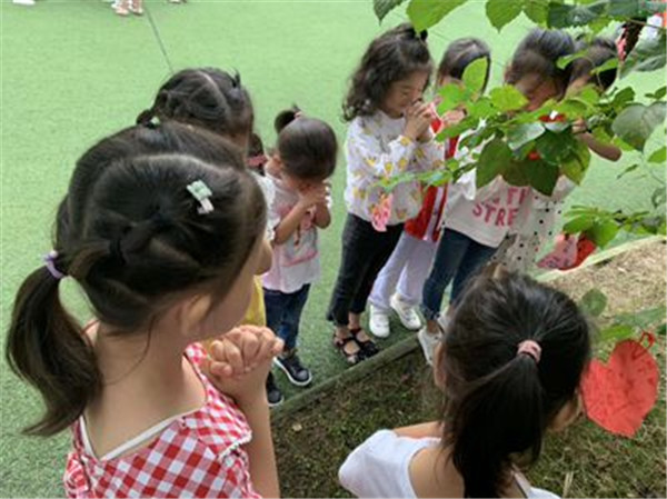 成都幼儿园开学典礼